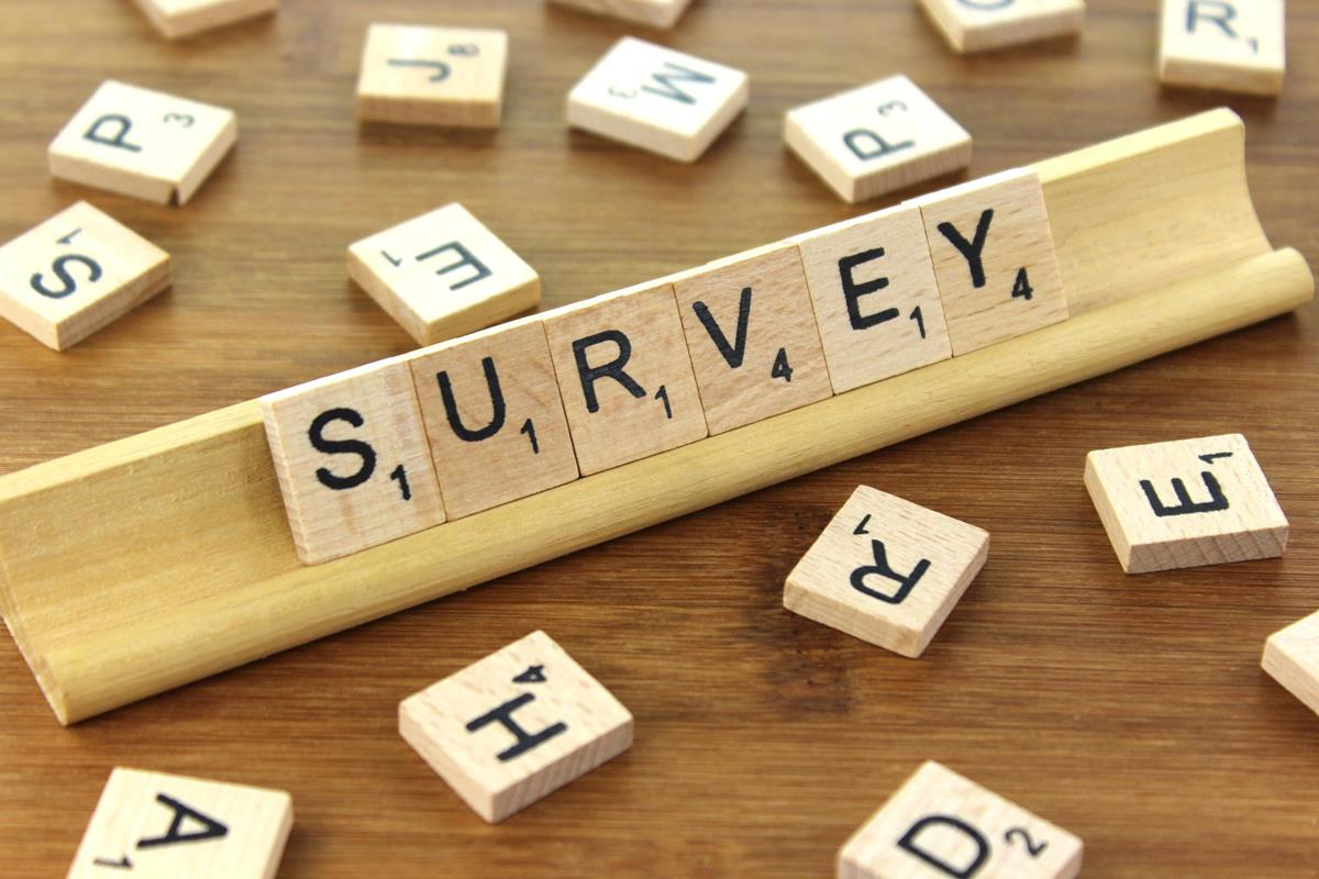 Scrabble tiles spelling the word survey